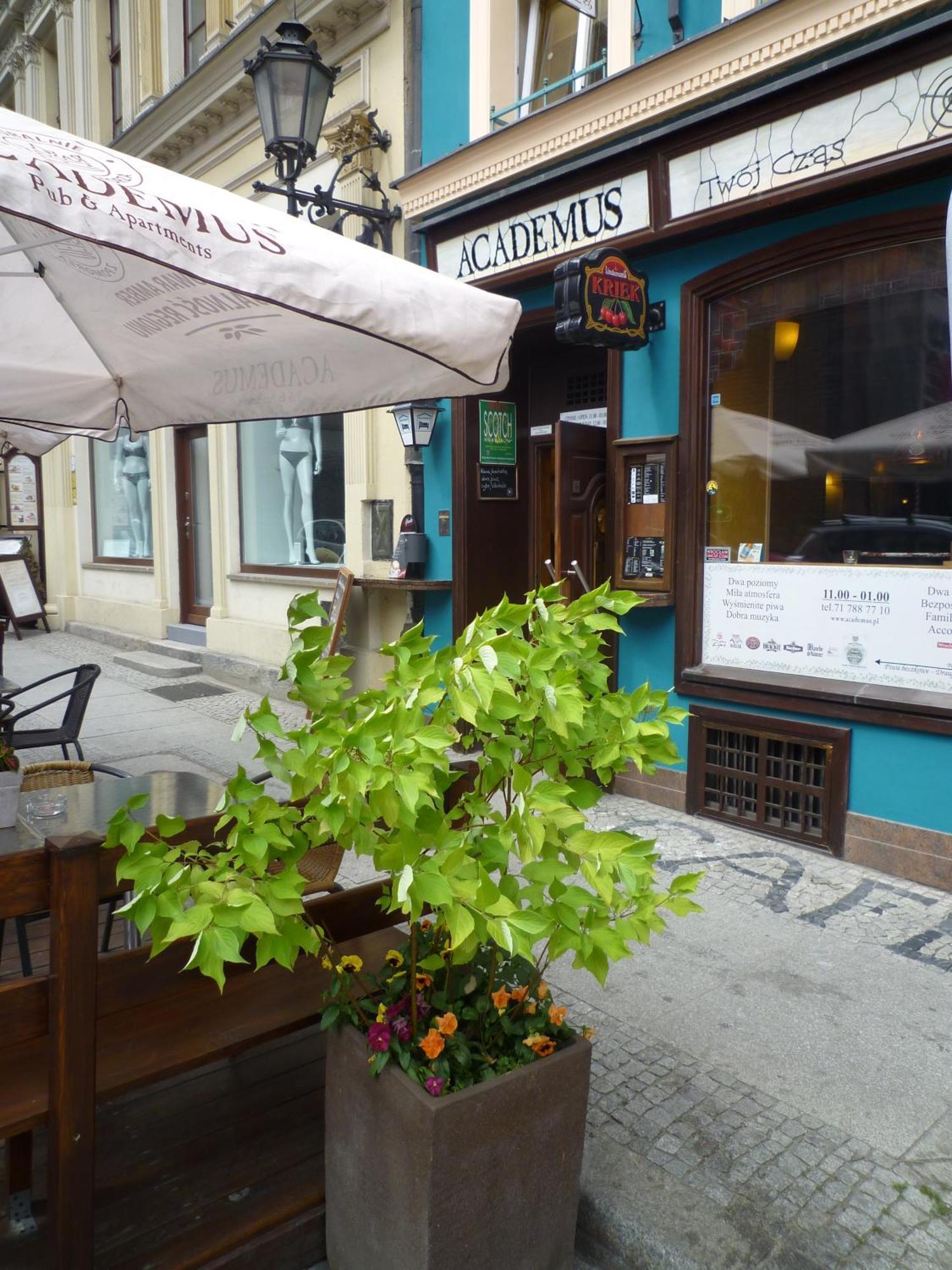 Academus Pub & Guest House Wrocław Kültér fotó